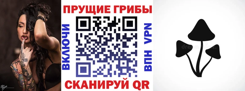 кракен маркетплейс  Лесосибирск  Псилоцибиновые грибы MAGIC MUSHROOMS 